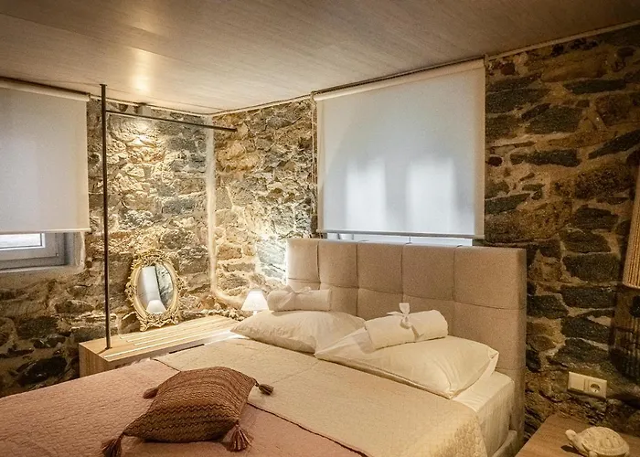 Petra's House