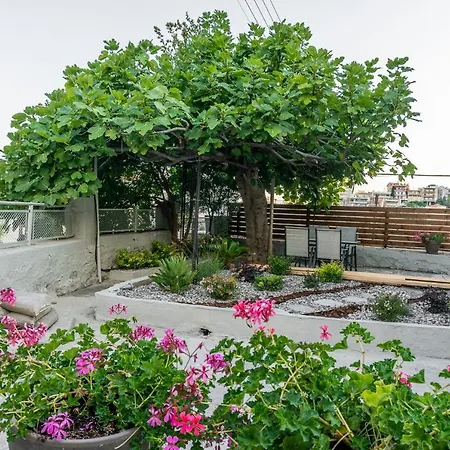 Petra's House Апартаменты