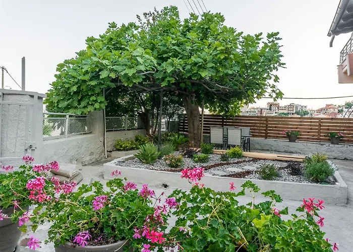 Petra's House Lägenhet